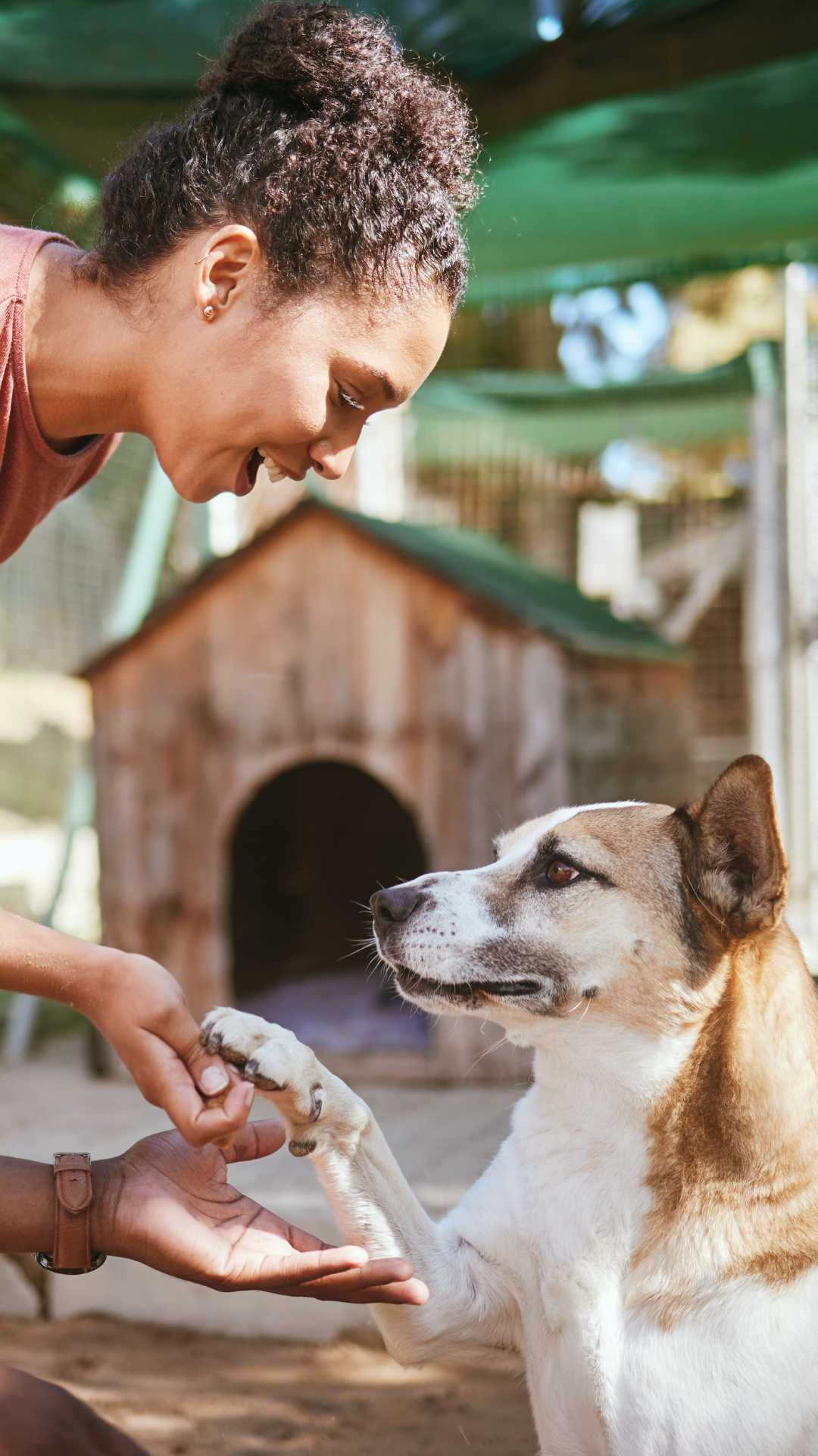Adopt